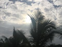 -农厨好味·温泉鹅·农家菜