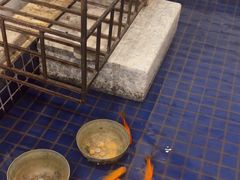 -大唐靓汤江门私房菜(景田店)