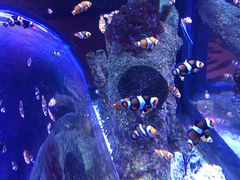 -沈阳海洋探索中心