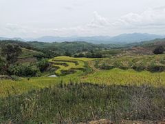 -牙胡梯田