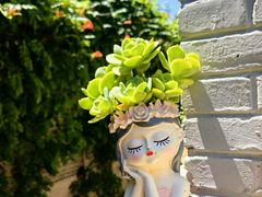 -庐灶江南·江南菜·四合院Bistro(东直门雍和宫·原华侨宾馆店)