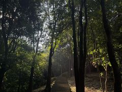 -火炉山森林公园