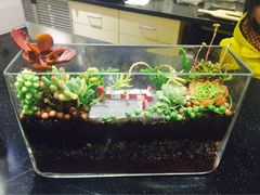 妈妈的味道-妈妈的味道(工人体育场东路店)