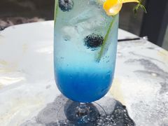 -瞄一喵猫咖(格力海岸店)