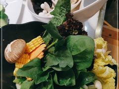 -洪氏嗨捞·猪肚鸡火锅(阳光天地店)