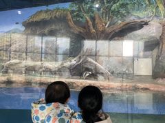 -福州罗源湾海洋世界旅游区