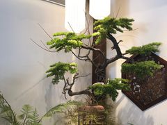 -蘭奢雅集·江浙菜(青山江滩店)