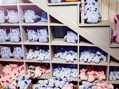 -济州岛泰迪熊博物馆