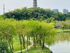 -顺峰山公园