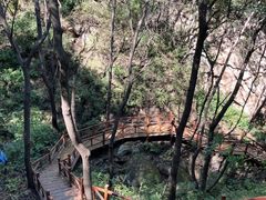 -大岭沟猕猴桃谷风景区