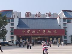 -曹州牡丹园