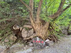 -孤山寨风景区