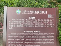 -上海佘山国家森林公园天马山园