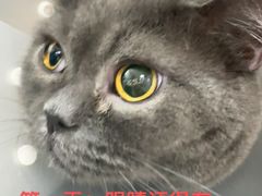 -美联众合动物医院·24h京西诊疗中心