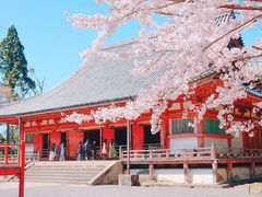 -醍醐寺
