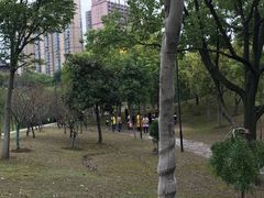 景点-堤角公园