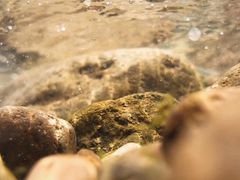 -楠溪江风景名胜区