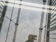 -牛鱼嘴原始生态风景区
