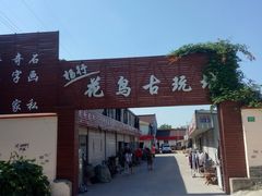 -龙大花卉苗木市场