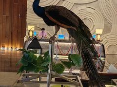 -西双版纳融创皇冠假日度假酒店