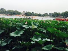 -小王府(什刹海店)