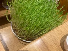 -好彩猪肚鸡(正弘城店)