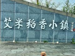 -艾米稻香小镇