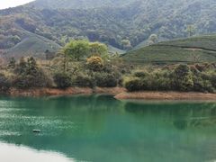 -龙坞茶村