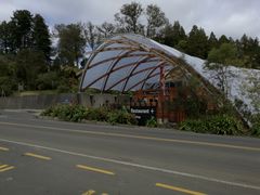 -怀托摩萤火虫洞