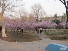 -解放人民公园