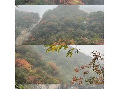 -太平万花山景区