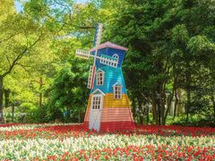 -上海共青森林公园