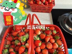 -小鱼草莓采摘园农家乐·小鱼餐厅