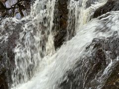 -莫里热带雨林景区