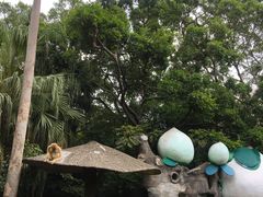 -深圳野生动物园