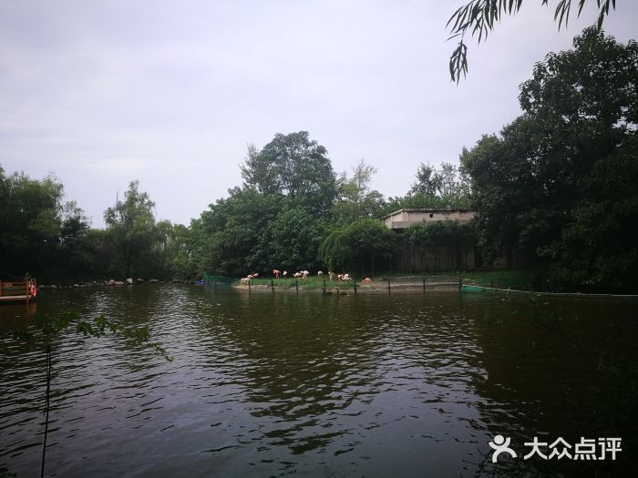 西安秦岭野生动物园图片