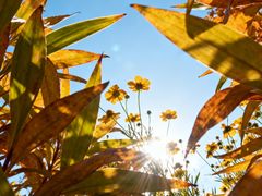 -西安市长乐公园