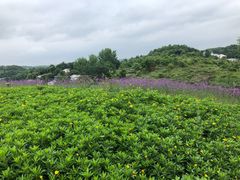 -天河潭旅游度假区