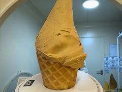 -野人先生现做冰淇淋(北京环宇荟店)