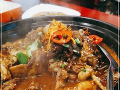 -火焰金龟甲(汉阳江滩旗舰店)