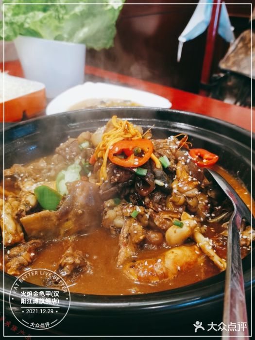火焰金龟甲(汉阳江滩旗舰店)图片