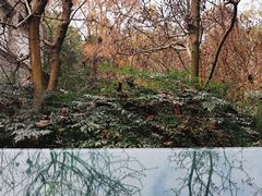 -鹿野苑石刻艺术博物馆