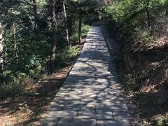 -金龙寺国家森林公园