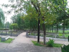 景点-月湖风景区