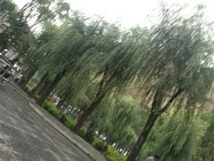 -沕沕水生态风景区