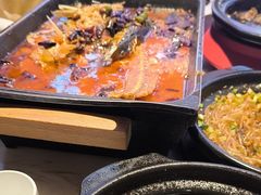 -茅庐毛血旺(烟台大悦城店)