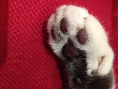 iphone_upload_pic-MIKAKU(万达广场上海宝山店)