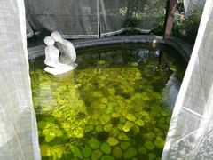 -杭州第一世界大酒店·云曼温泉