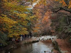 -光雾山旅游景区