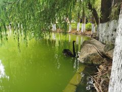 -芙蓉餐厅(厦大店)